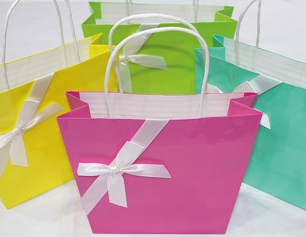 Geschenktasche glänz. Oberfläche 23x18cm
