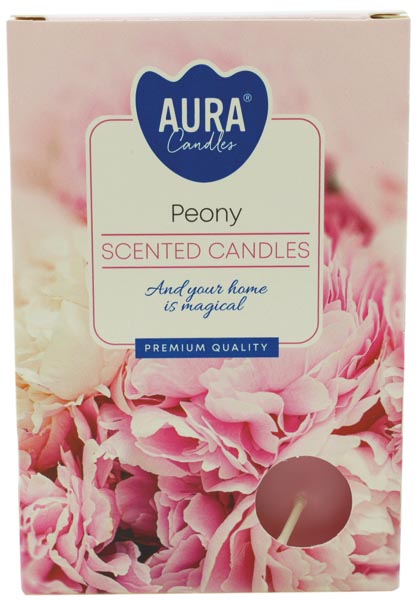 Teelichte Duft 6er Pfingstrose in Faltschachtel