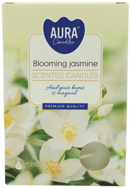 Teelichte Duft 6er Jasminblüte in Faltschachtel