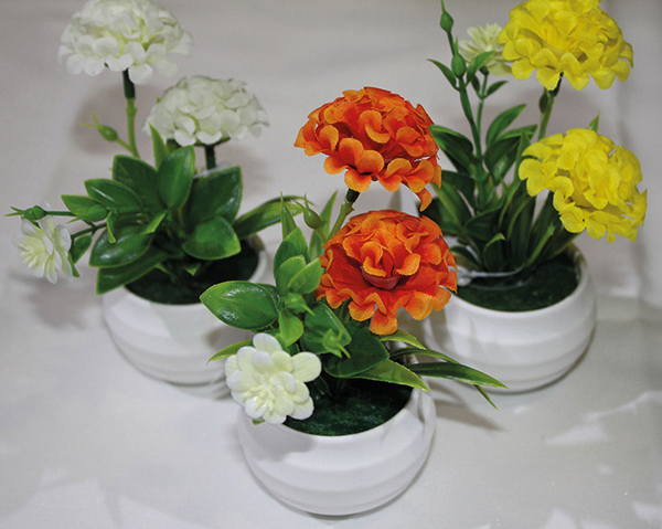 Blume Kugelchrysantheme im weissen Topf, 14cm